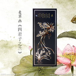 淘宝产品主图图片